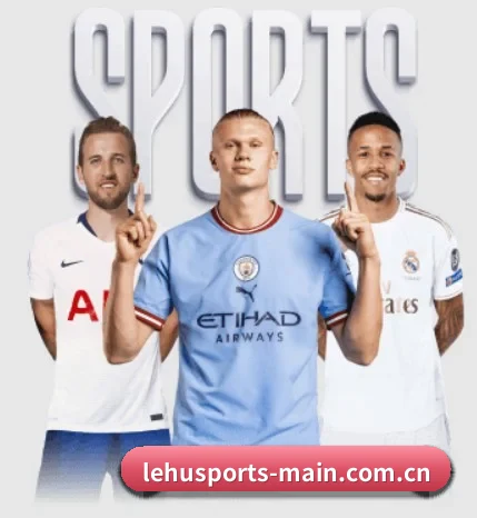 乐虎国际入口围绕看球场景设计的核心服务